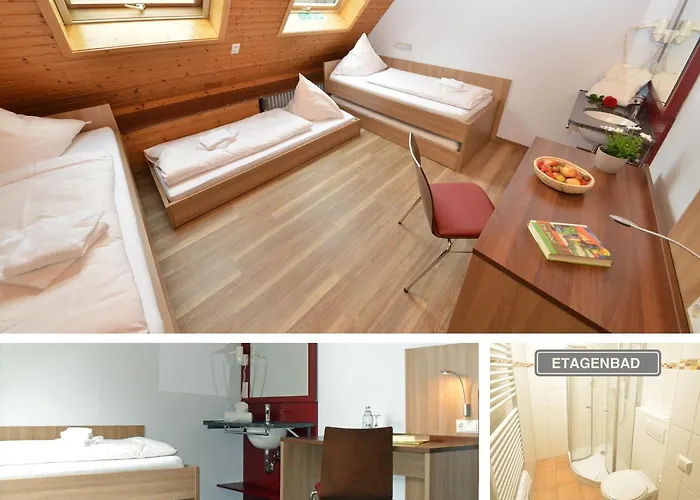 Don-bosco-haus Hostel *